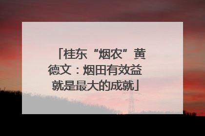 桂东“烟农”黄德文：烟田有效益就是最大的成就