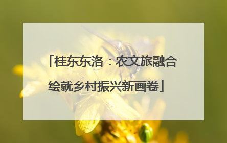 桂东东洛：农文旅融合绘就乡村振兴新画卷
