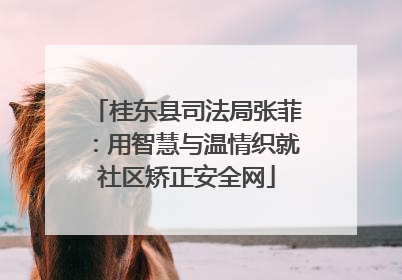 桂东县司法局张菲：用智慧与温情织就社区矫正安全网