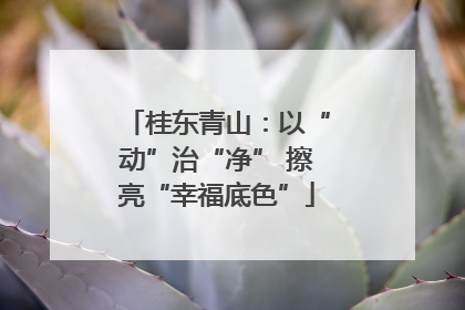 桂东青山：以“动”治“净” 擦亮“幸福底色”