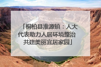 桐柏县淮源镇：人大代表助力人居环境整治 共建美丽宜居家园