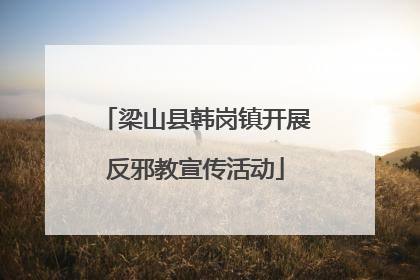 梁山县韩岗镇开展反邪教宣传活动