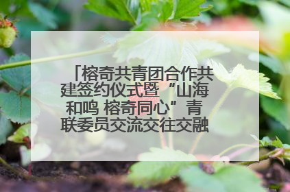 榕奇共青团合作共建签约仪式暨“山海和鸣 榕奇同心”青联委员交流交往交融活动在福州举行