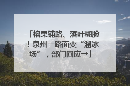 榕果铺路、落叶糊脸！泉州一路面变“溜冰场”，部门回应→