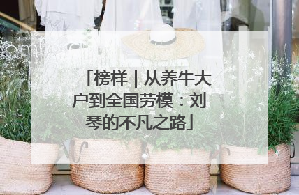 榜样｜从养牛大户到全国劳模：刘琴的不凡之路