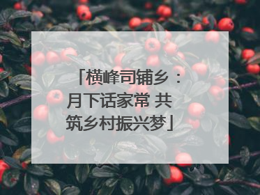 横峰司铺乡：月下话家常 共筑乡村振兴梦