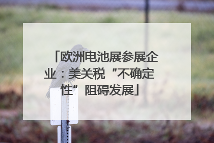 欧洲电池展参展企业：美关税“不确定性”阻碍发展