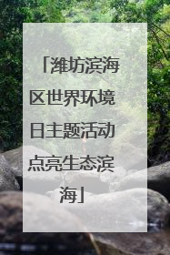 潍坊滨海区世界环境日主题活动点亮生态滨海