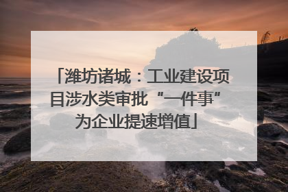 潍坊诸城：工业建设项目涉水类审批“一件事” 为企业提速增值