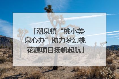 潮泉镇“桃小美·泉心办”助力梦幻桃花源项目扬帆起航