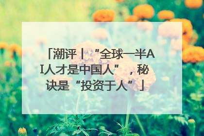 潮评丨“全球一半AI人才是中国人”，秘诀是“投资于人”