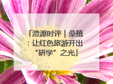 澧源时评｜桑植：让红色旅游开出“研学”之光