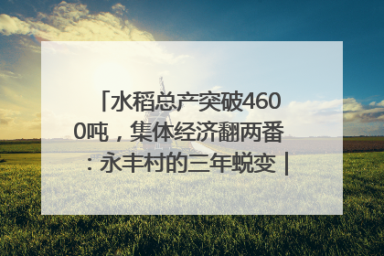 水稻总产突破4600吨，集体经济翻两番：永丰村的三年蜕变｜您牵挂的四川