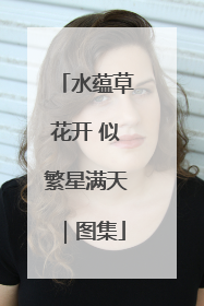 水蕴草花开 似繁星满天｜图集