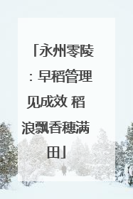 永州零陵：早稻管理见成效 稻浪飘香穗满田