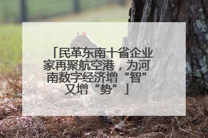 民革东南十省企业家再聚航空港，为河南数字经济增“智”又增“势”