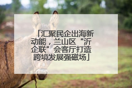 汇聚民企出海新动能，兰山区“沂企联”会客厅打造跨境发展强磁场