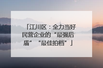 江川区：全力当好民营企业的“最强后盾”“最佳拍档”