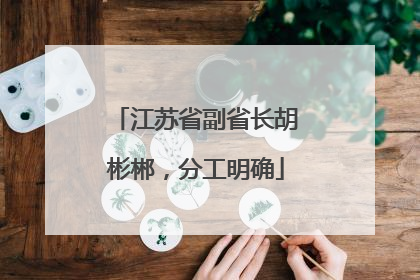 江苏省副省长胡彬郴，分工明确