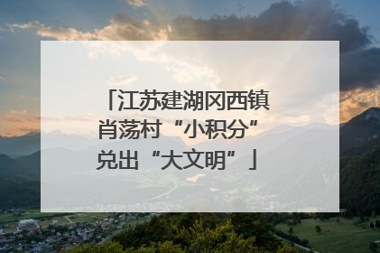 江苏建湖冈西镇肖荡村“小积分”兑出“大文明”