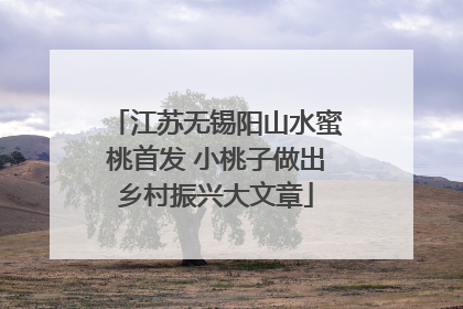 江苏无锡阳山水蜜桃首发 小桃子做出乡村振兴大文章