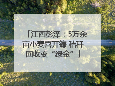 江西彭泽：5万余亩小麦喜开镰 秸秆回收变“绿金”
