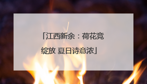 江西新余：荷花竞绽放 夏日诗意浓