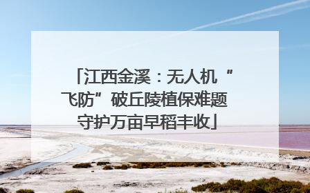 江西金溪：无人机“飞防”破丘陵植保难题 守护万亩早稻丰收