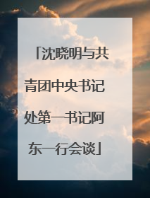 沈晓明与共青团中央书记处第一书记阿东一行会谈