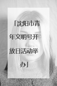 沈阳市青年文明号开放日活动举办