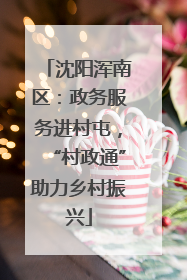 沈阳浑南区：政务服务进村屯，“村政通”助力乡村振兴