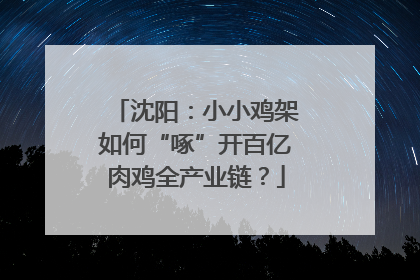 沈阳：小小鸡架如何“啄”开百亿肉鸡全产业链？