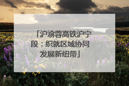 沪渝蓉高铁沪宁段：织就区域协同发展新纽带