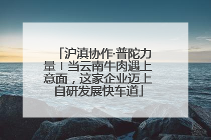 沪滇协作·普陀力量〡当云南牛肉遇上意面，这家企业迈上自研发展快车道