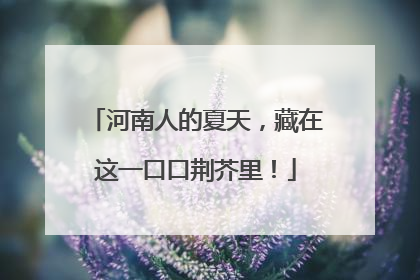 河南人的夏天，藏在这一口口荆芥里！