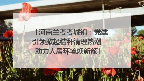 河南兰考考城镇：党建引领掀起秸秆清理热潮 助力人居环境焕新颜