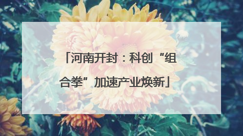 河南开封：科创“组合拳”加速产业焕新