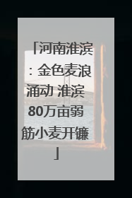 河南淮滨：金色麦浪涌动 淮滨80万亩弱筋小麦开镰