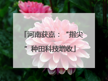 河南获嘉：“指尖”种田科技增收