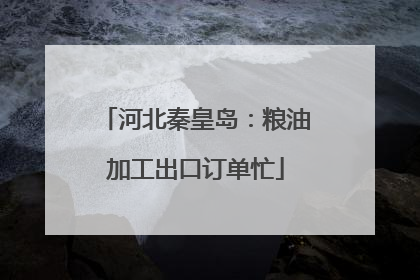 河北秦皇岛：粮油加工出口订单忙