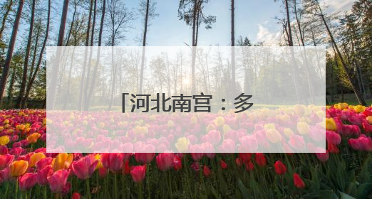 河北南宫：多举措为“三夏”生产保驾护航