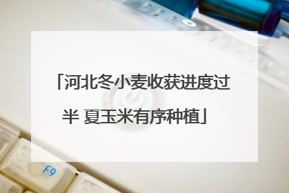 河北冬小麦收获进度过半 夏玉米有序种植