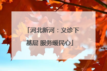 河北新河：义诊下基层 服务暖民心
