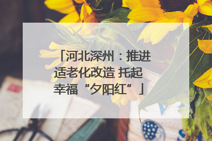 河北深州：推进适老化改造 托起幸福“夕阳红”