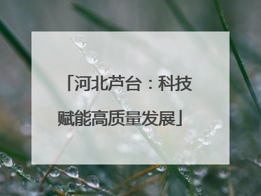 河北芦台：科技赋能高质量发展