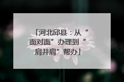 河北邱县：从“面对面”办理到“肩并肩”帮办