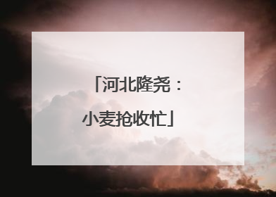 河北隆尧：小麦抢收忙