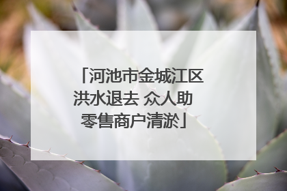 河池市金城江区洪水退去 众人助零售商户清淤