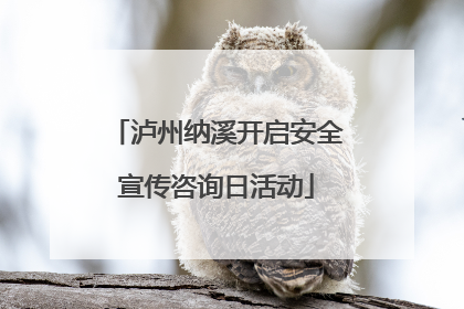 泸州纳溪开启安全宣传咨询日活动