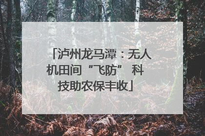 泸州龙马潭：无人机田间“飞防” 科技助农保丰收